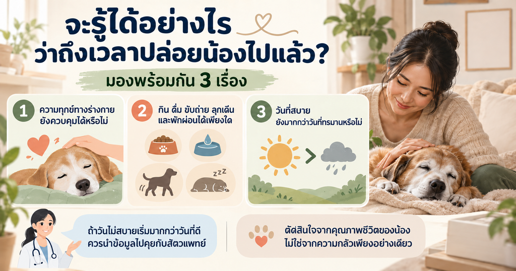 จะรู้ได้อย่างไรว่าถึงเวลาปล่อยสัตว์เลี้ยงไปแล้ว อินโฟกราฟิกแนะนำ 3 เรื่องที่ควรประเมิน ได้แก่ ความทุกข์ทางร่างกาย กิจวัตรพื้นฐาน และจำนวนวันที่สบายเทียบกับวันที่ทรมาน