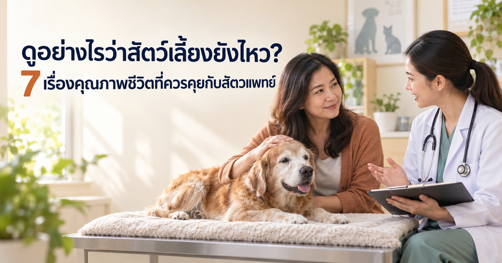 ดูอย่างไรว่าสัตว์เลี้ยงยังไหว ภาพเจ้าของพาสุนัขสูงวัยปรึกษาสัตวแพทย์เรื่อง 7 ปัจจัยในการประเมินคุณภาพชีวิต