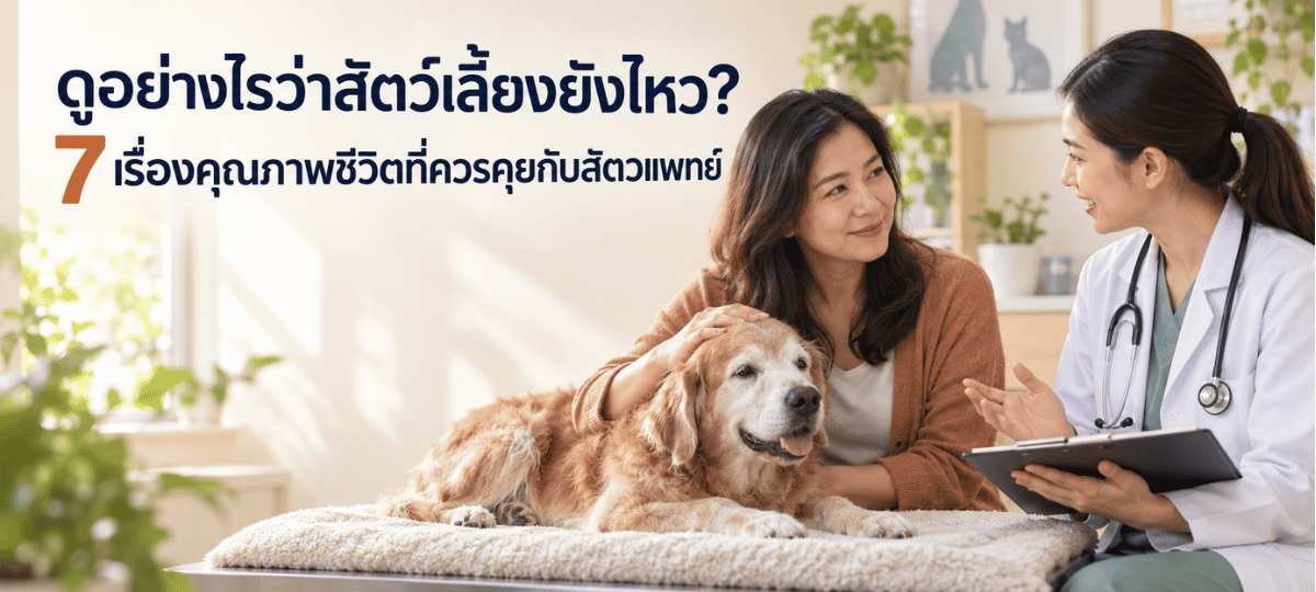 ดูอย่างไรว่าสัตว์เลี้ยงยังไหว ภาพเจ้าของพาสุนัขสูงวัยปรึกษาสัตวแพทย์เรื่อง 7 ปัจจัยในการประเมินคุณภาพชีวิต