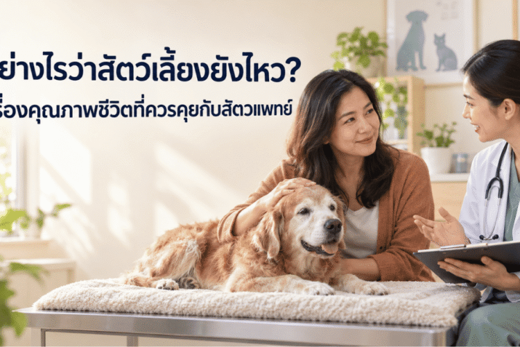 ดูอย่างไรว่าสัตว์เลี้ยงยังไหว ภาพเจ้าของพาสุนัขสูงวัยปรึกษาสัตวแพทย์เรื่อง 7 ปัจจัยในการประเมินคุณภาพชีวิต